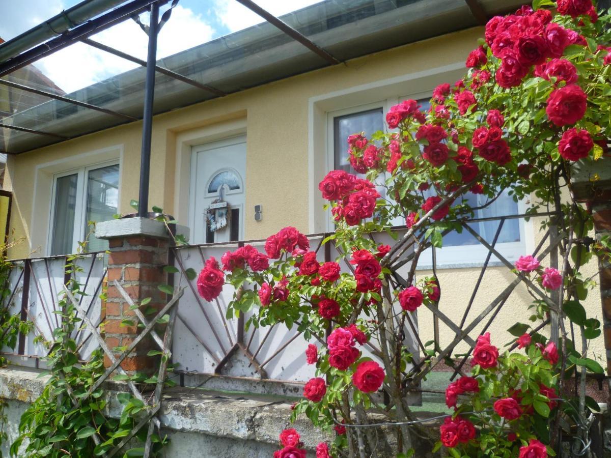 Ferienhaus 1 Elbingerode  Exterior photo